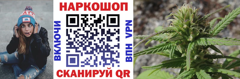 Где купить Няндома Гашиш КОКАИН Альфа ПВП Героин Меф мяу мяу МАРИХУАНА