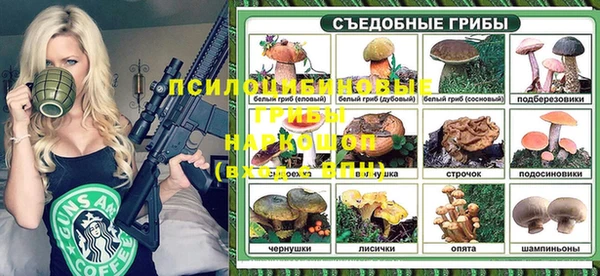 круглые Аркадак