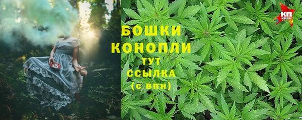 PSILOCYBIN Арсеньев
