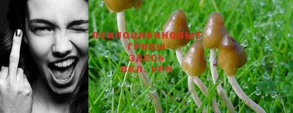 PSILOCYBIN Арсеньев